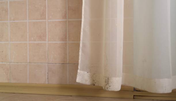 Best Air Quality Testing for Mold Spores  in Prosper, TX