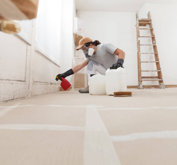 Trusted Prosper, TX Mold Removal Experts